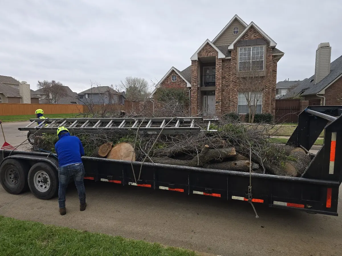 Expert Tree Fertilization with proper safety equipment in Batavia